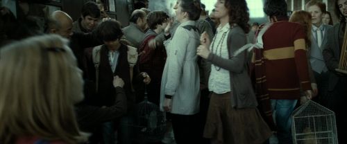 RdM2-Potterish_13324.jpg