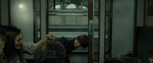 RdM2-Potterish_13482.jpg