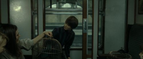 RdM2-Potterish_13483.jpg