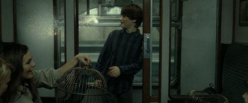 RdM2-Potterish_13485.jpg