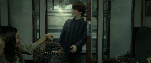 RdM2-Potterish_13486.jpg