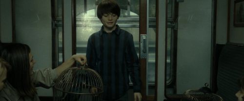 Click to view full size image
==============
RdM2-Potterish_13487.jpg RdM2-Potterish_13487.jpg