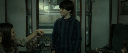 Click to view full size image
==============
RdM2-Potterish_13488.jpg RdM2-Potterish_13488.jpg