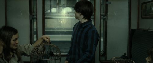 Click to view full size image
==============
RdM2-Potterish_13489.jpg RdM2-Potterish_13489.jpg