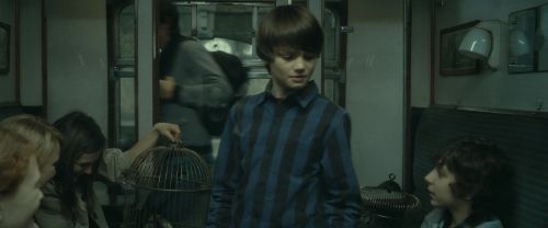 Click to view full size image
==============
RdM2-Potterish_13494.jpg RdM2-Potterish_13494.jpg