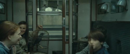 RdM2-Potterish_13496.jpg