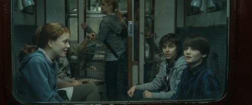 RdM2-Potterish_13502.jpg