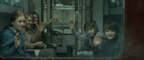 RdM2-Potterish_13518.jpg