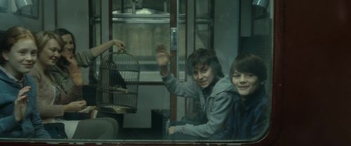 RdM2-Potterish_13519.jpg