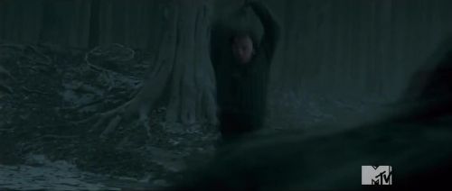 TeaserTrailerRdMMTVPotterish_2828829.jpg