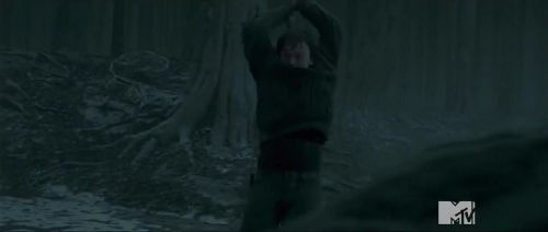 TeaserTrailerRdMMTVPotterish_2828929.jpg