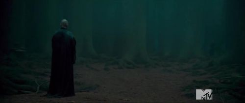 TeaserTrailerRdMMTVPotterish_283129.jpg