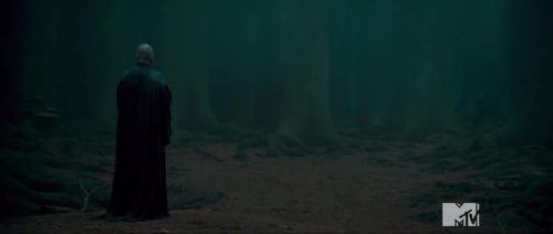 TeaserTrailerRdMMTVPotterish_283229.jpg