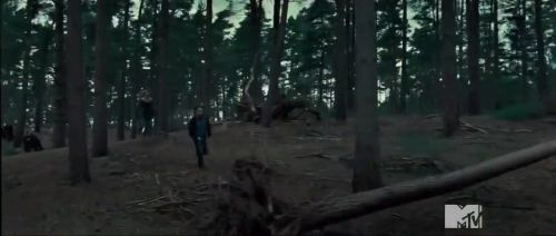 TeaserTrailerRdMMTVPotterish_2832829.jpg