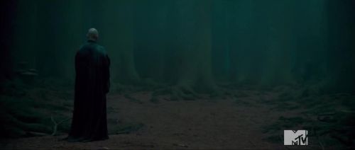 TeaserTrailerRdMMTVPotterish_283429.jpg