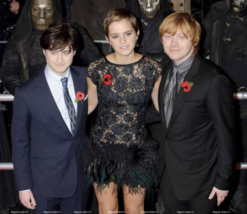 Click to view full size image
==============
big_potter_prem_36805.jpg big_potter_prem_36805.jpg