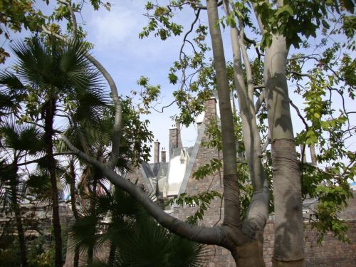 Click to view full size image
==============
disney493.jpg disney493.jpg