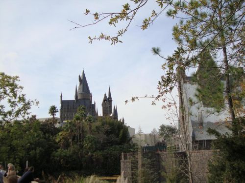 disney505.jpg