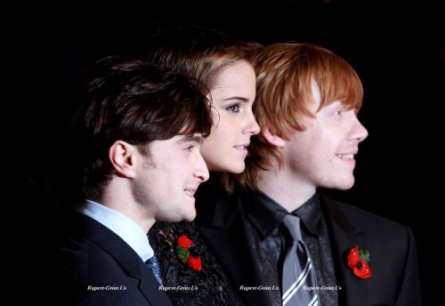 Click to view full size image
==============
harry_potter_8_wenn3093561.jpg harry_potter_8_wenn3093561.jpg
