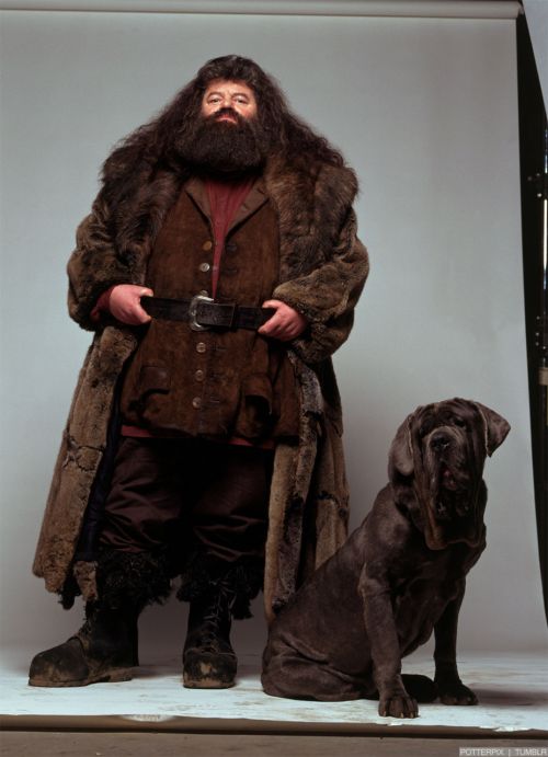 Click to view full size image
==============
hp1-photoshoot-hd-13.jpg hp1-photoshoot-hd-13.jpg