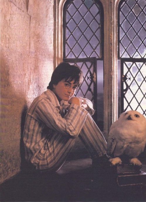 hp1-photoshoot-hd-8.jpg