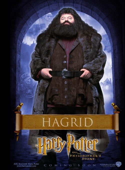 hp1-posteres-hd-10.jpg