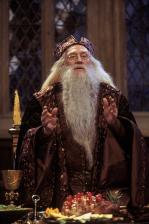 hp1-stills-hd-12.jpg