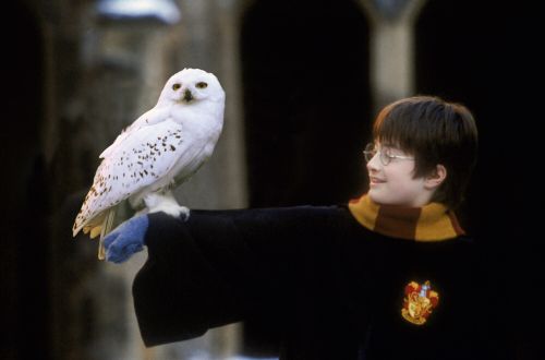 hp1-stills-hd-15.jpg
