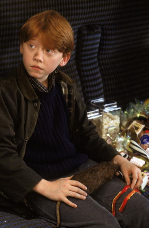 hp1-stills-hd-36.jpg