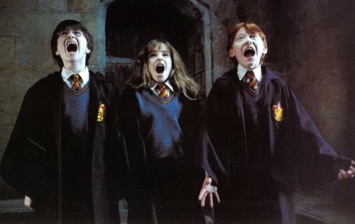 Click to view full size image
==============
hp1-stills-hd-47.jpg hp1-stills-hd-47.jpg