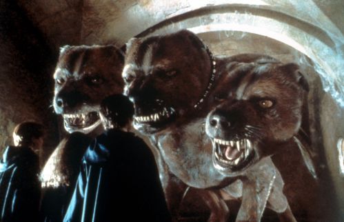 hp1-stills-hd-49.jpg