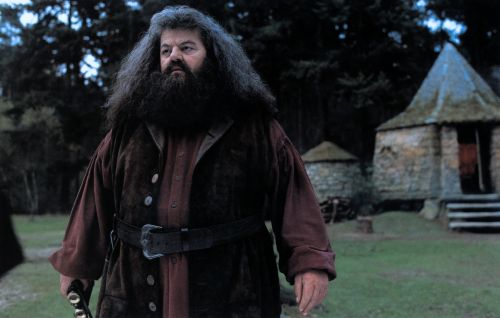 Click to view full size image
==============
hp1-stills-hd-58.jpg hp1-stills-hd-58.jpg