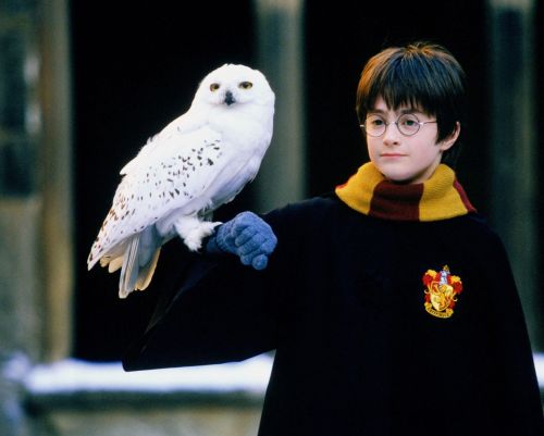 Click to view full size image
==============
hp1-stills-hd-63.jpg hp1-stills-hd-63.jpg