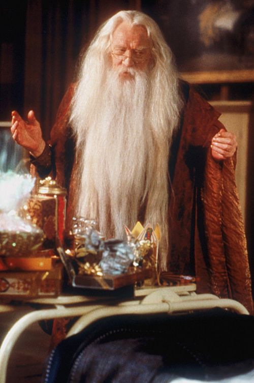 hp1-stills-hd-65.jpg