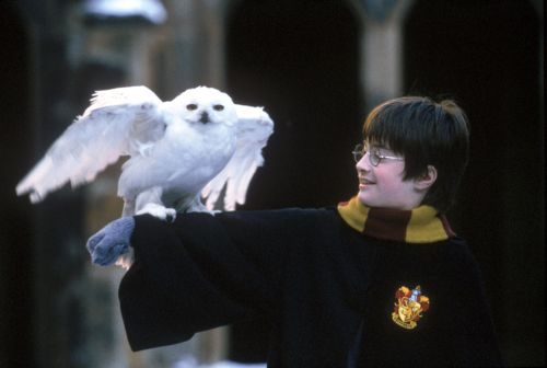 hp1-stills-hd-7.jpg