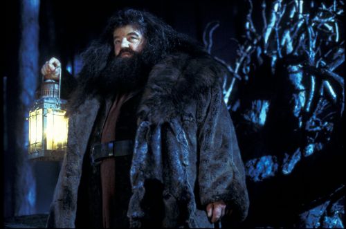 hp1-stills-hd-74.jpg