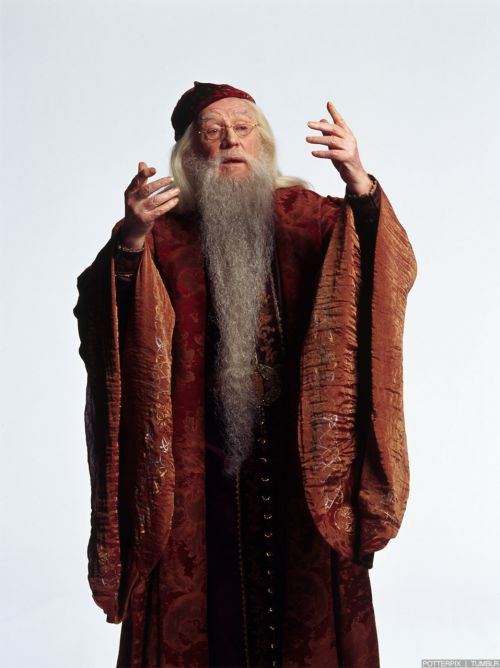 Click to view full size image
==============
hp2-photoshoot-hd-20.jpg hp2-photoshoot-hd-20.jpg