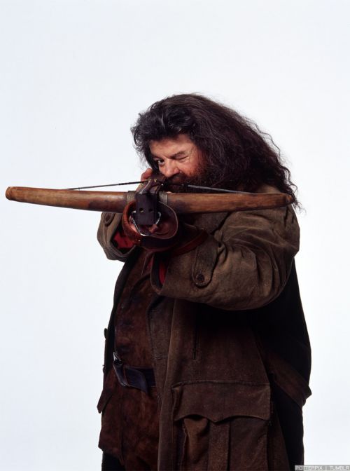 hp2-photoshoot-hd-8.jpg