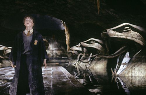 hp2-stills-hd-23.jpg