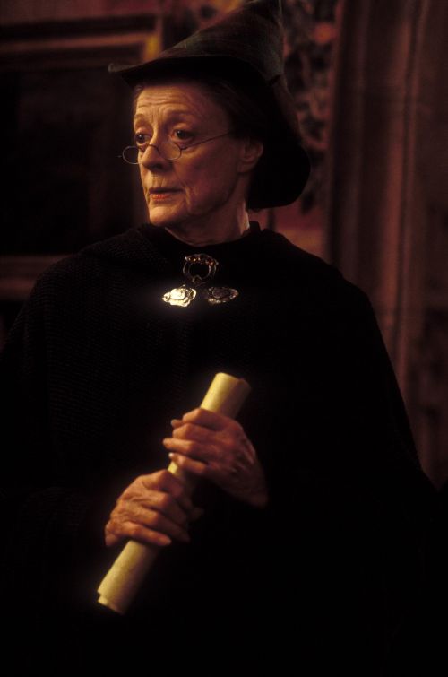 Click to view full size image
==============
hp2-stills-hd-35.jpg hp2-stills-hd-35.jpg