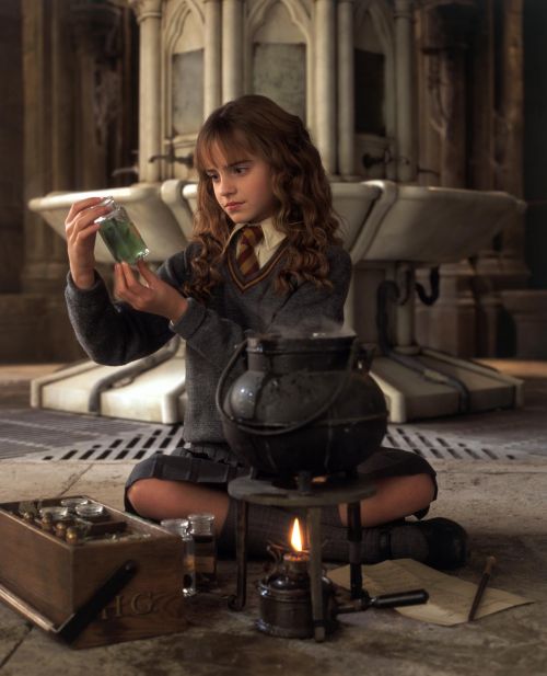 hp2-stills-hd-37.jpg