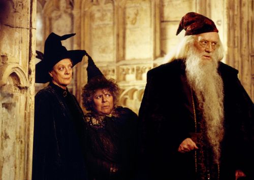 hp2-stills-hd-45.jpg
