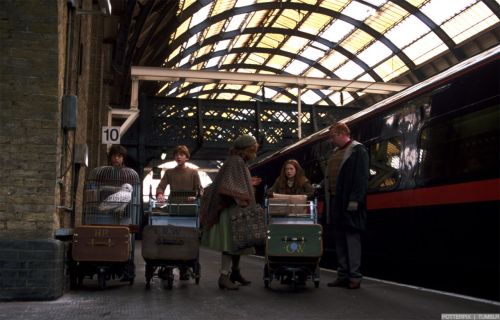 Click to view full size image
==============
hp2-stills-hd-50.jpg hp2-stills-hd-50.jpg