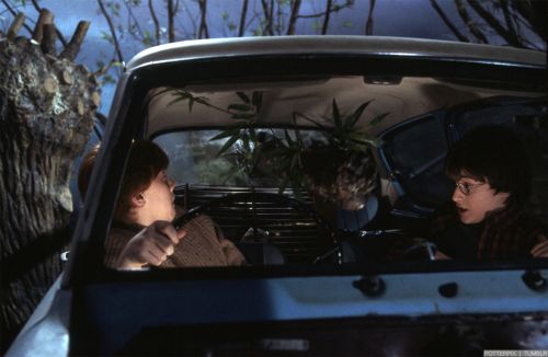 Click to view full size image
==============
hp2-stills-hd-52.jpg hp2-stills-hd-52.jpg