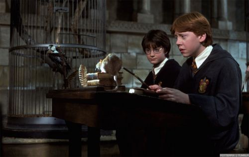 Click to view full size image
==============
hp2-stills-hd-53.jpg hp2-stills-hd-53.jpg