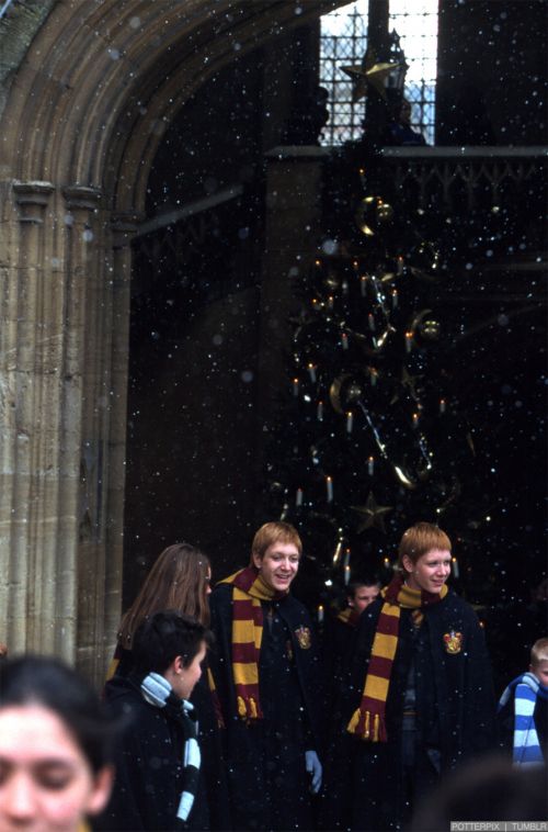 Click to view full size image
==============
hp2-stills-hd-63.jpg hp2-stills-hd-63.jpg