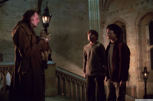 Click to view full size image
==============
hp2-stills-hd-64.jpg hp2-stills-hd-64.jpg