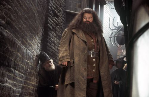 Click to view full size image
==============
hp2-stills-hd-7.jpg hp2-stills-hd-7.jpg