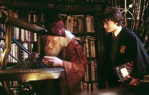 Click to view full size image
==============
hp2-stills-hd-8.jpg hp2-stills-hd-8.jpg