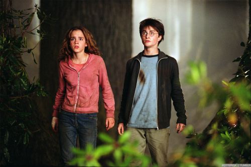 Click to view full size image
==============
hp3-stills-hd-10.jpg hp3-stills-hd-10.jpg